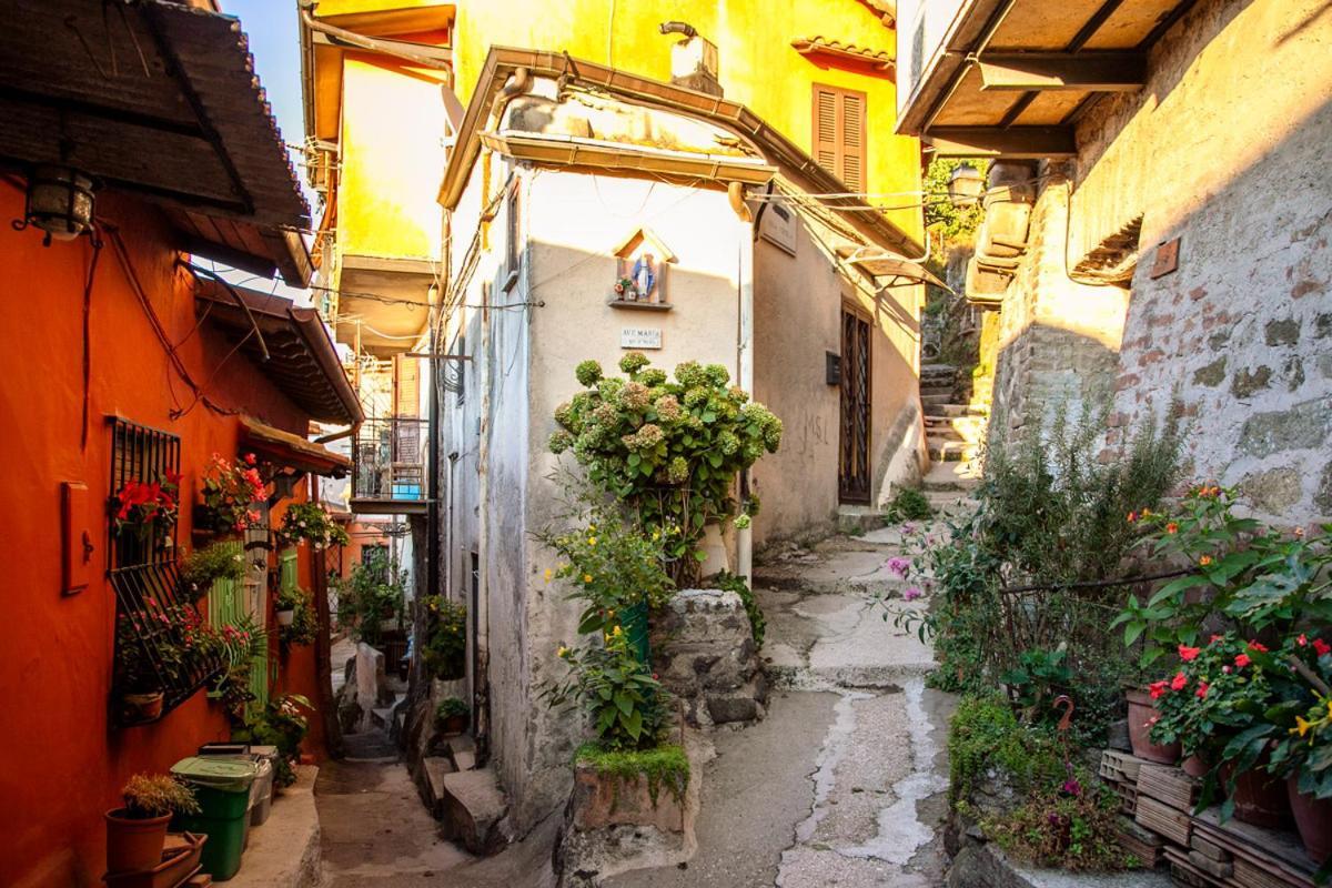 Casa Lella Apartment Rocca Di Papa Luaran gambar